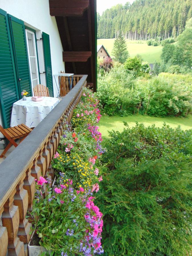 Ferienwohnung Lange Göstling an der Ybbs Eksteriør bilde